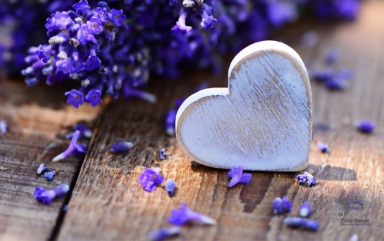 Hướng dẫn đặt hoa - Thanh toán