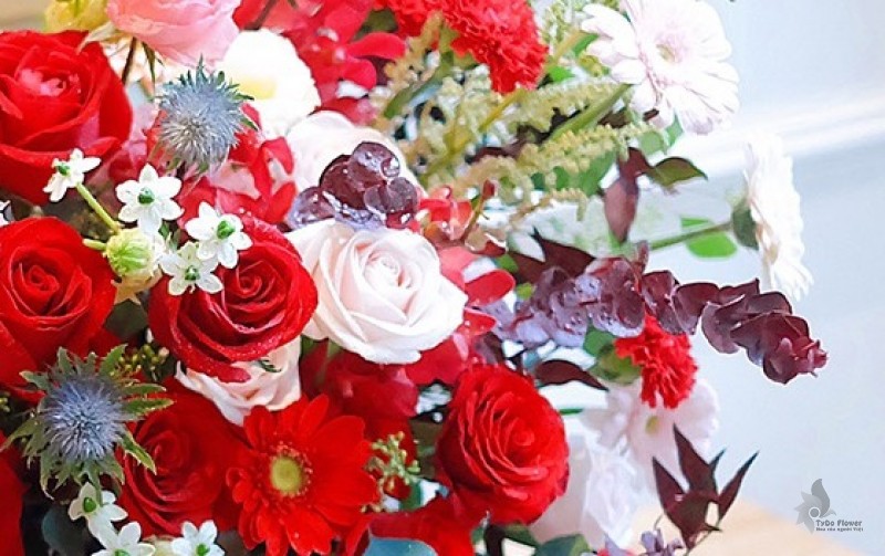 Hoa Chúc Mừng VIP