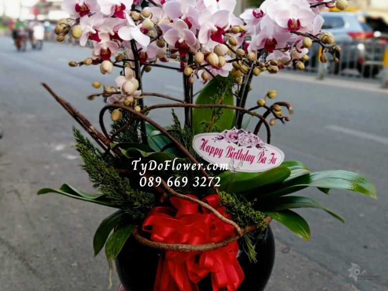 LAN HỒ ĐIỆP MINI 05 CÀNH LHD1007