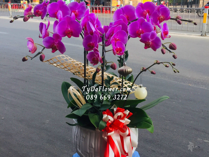 LAN HỒ ĐIỆP TÍM 06 CÀNH LHD1012