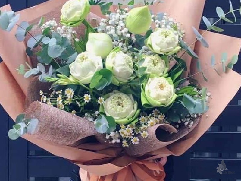 BÓ HOA CHÚC MỪNG BO72212 Bó Hoa Sen Trắng