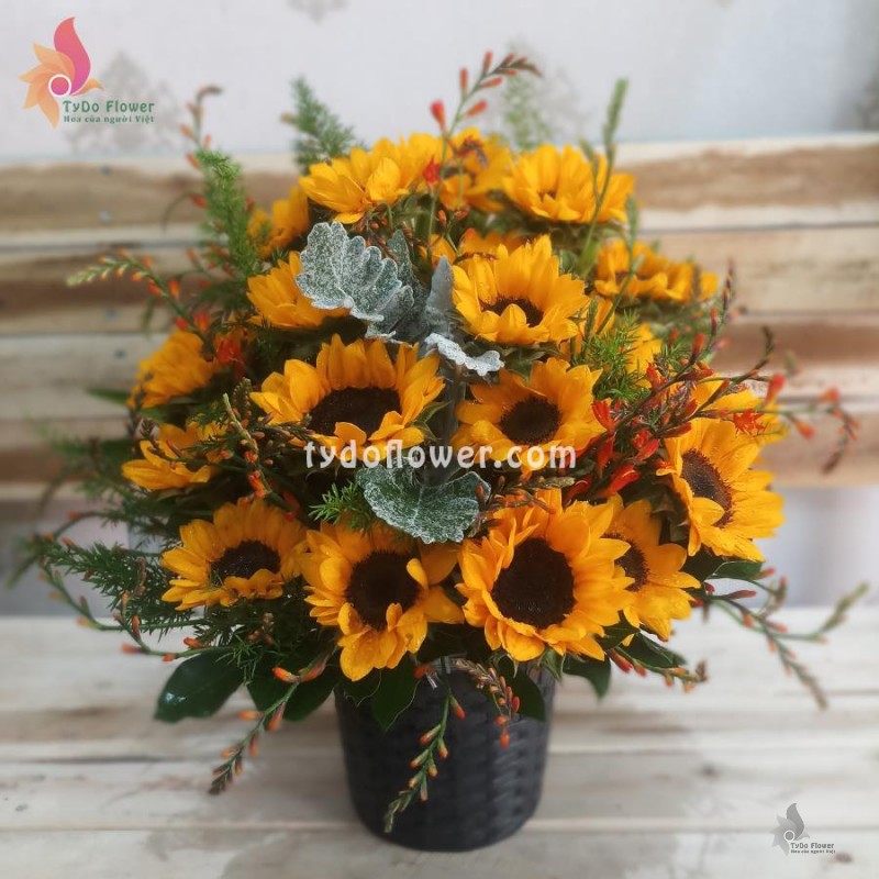 GIỎ HOA HƯỚNG DƯƠNG G142