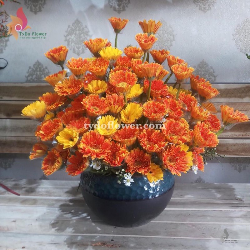 BÌNH HOA ĐỒNG TIỀN BI164