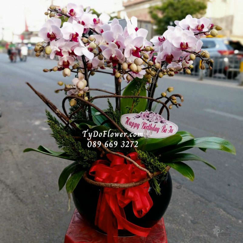 LAN HỒ ĐIỆP MINI 05 CÀNH LHD1007